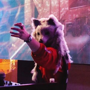 nick stevanson