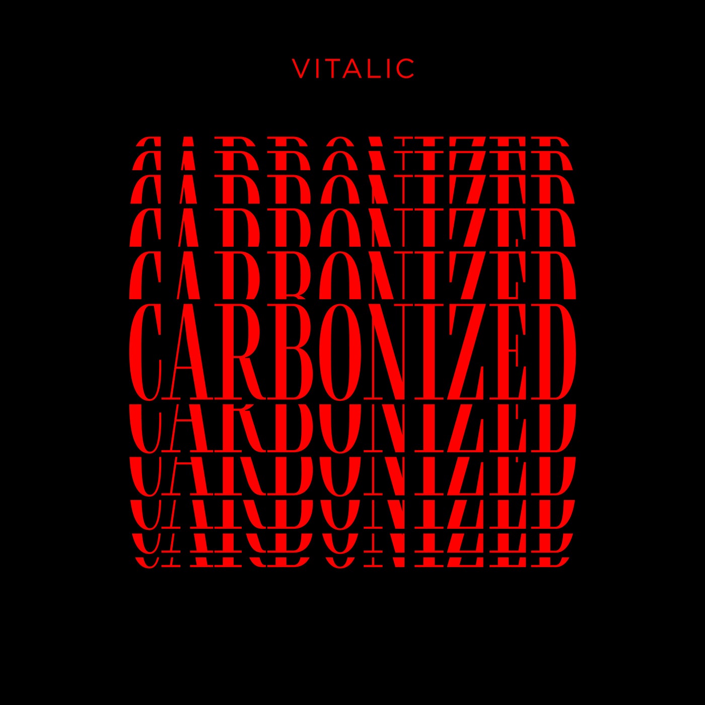 Vitalic Carbonized Cover