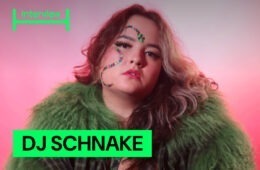 INTERVIEW - dj schnake