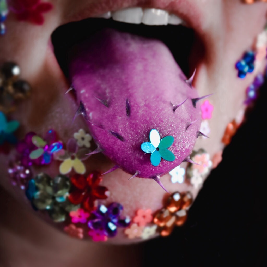 High On Flowers (Remix) - Artwork