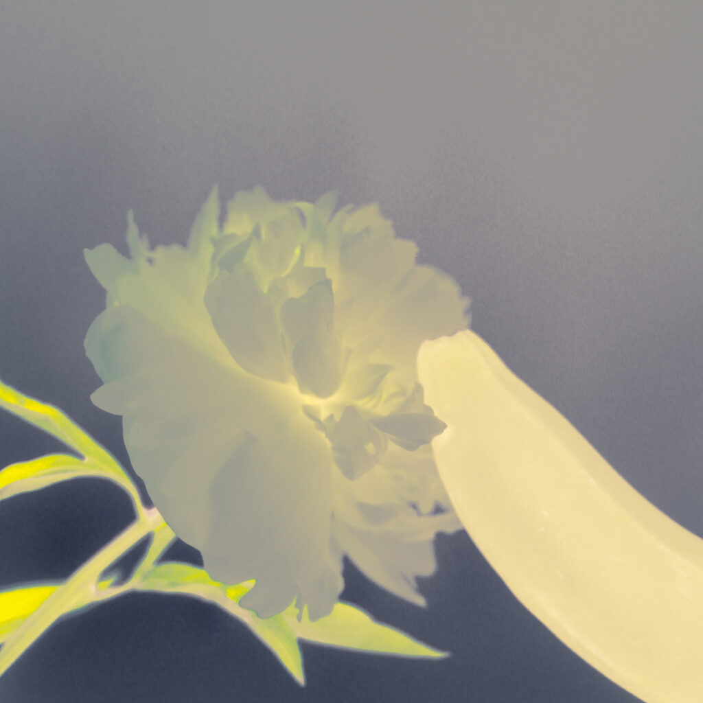 album_cover_Mono-Loco-mi-almohada-album_cover