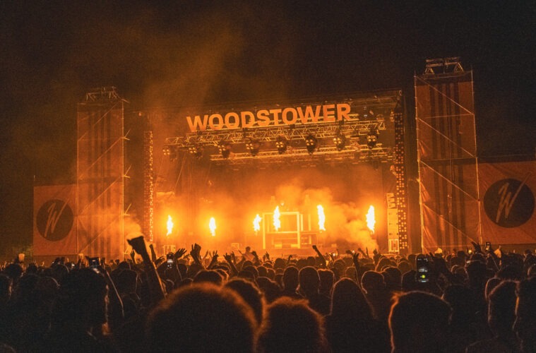 VLADIMIR_CAUCHEMAR_WOODSTOWER-J2-09