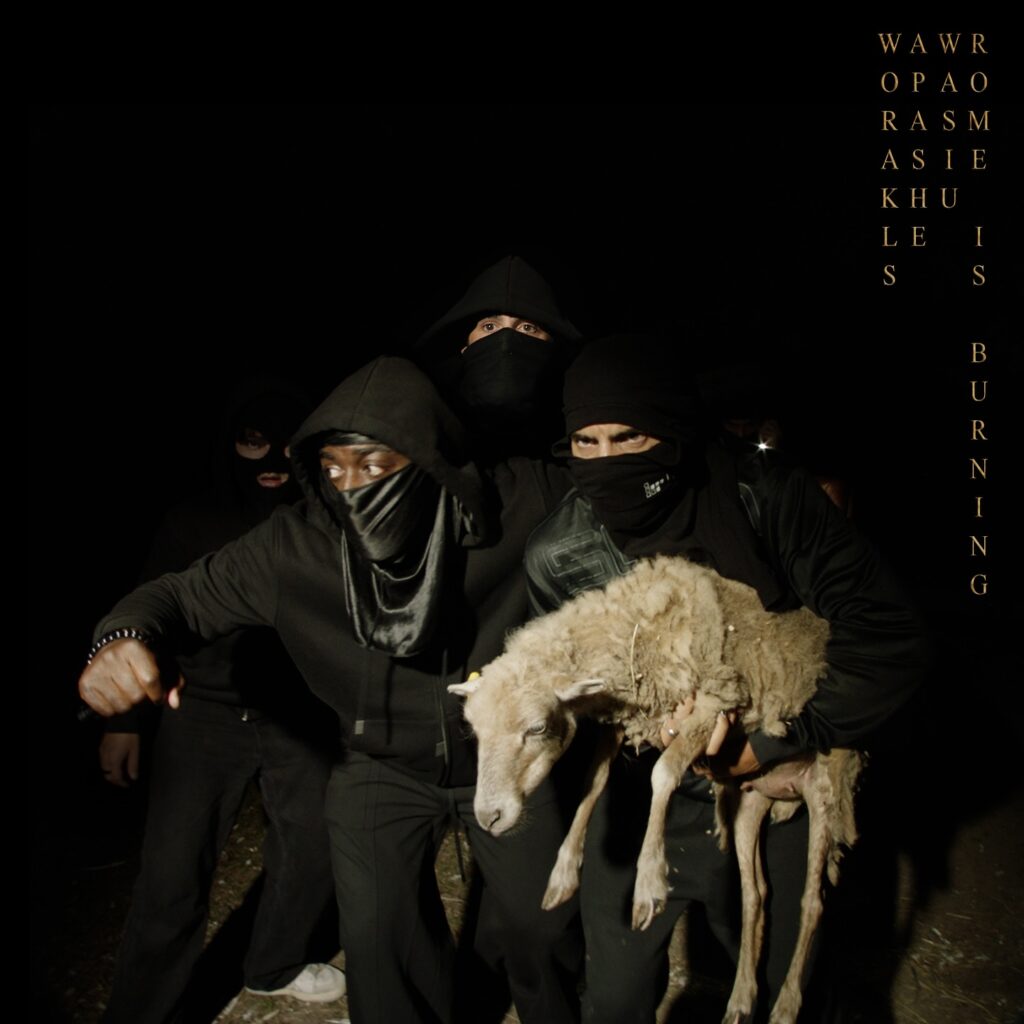 Photo shared by on October 05, 2025 tagging @afrowasiu, and @worakls.music. May be an image of 1 person, sheep, lamb, face mask, gas mask and text.