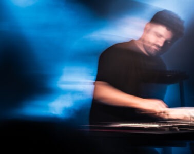 birrd credit (c)Alex BRDZ