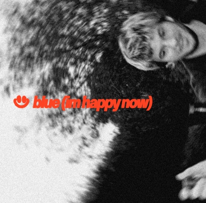 Blue cover - fakear